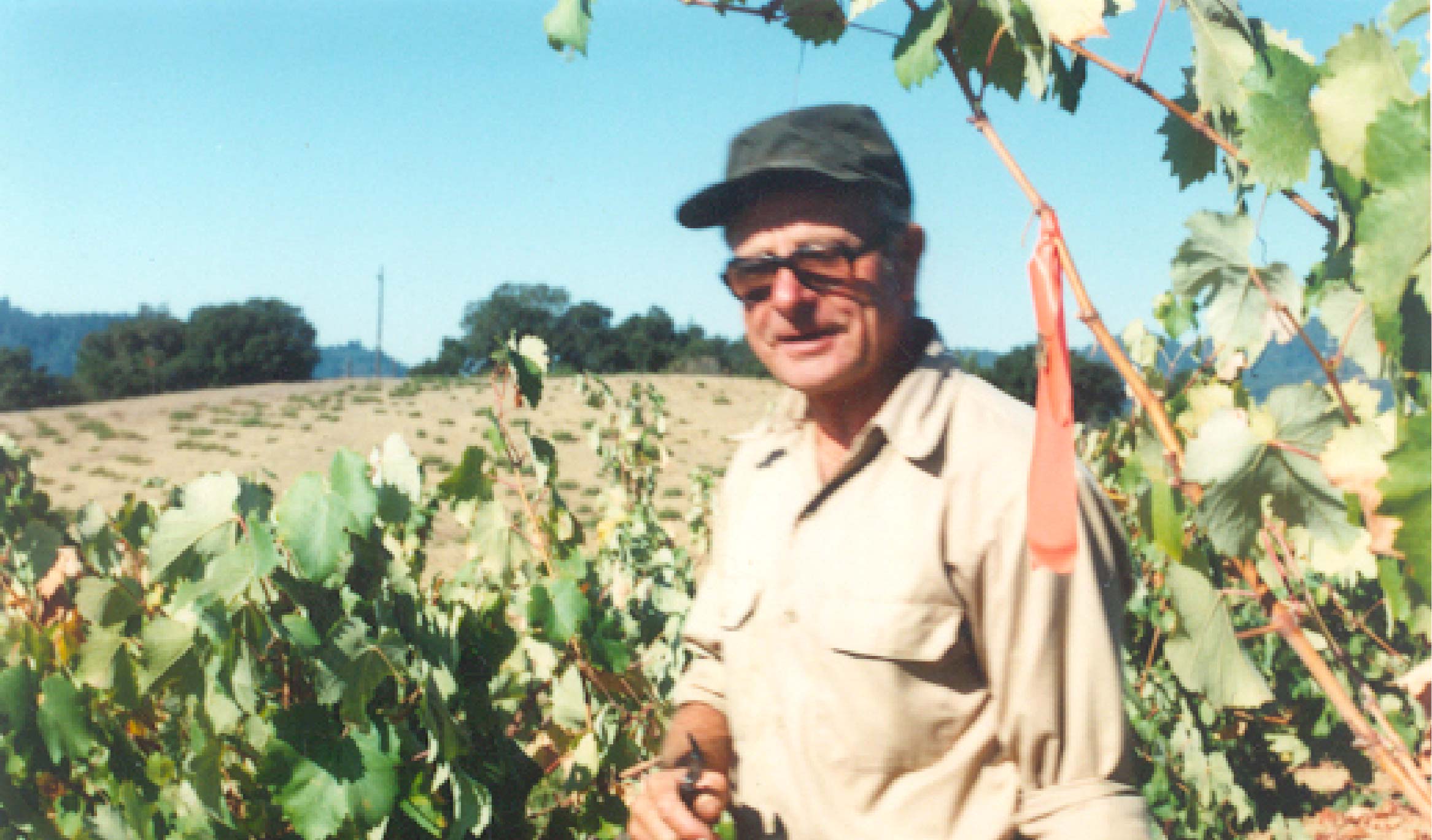 Chester Brandlin checking on the vineyard.